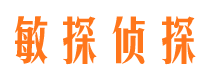 清苑侦探公司